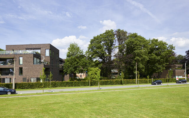 Central Park - Maaltemeers