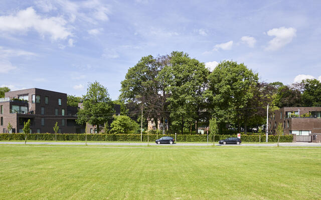 Central Park - Maaltemeers