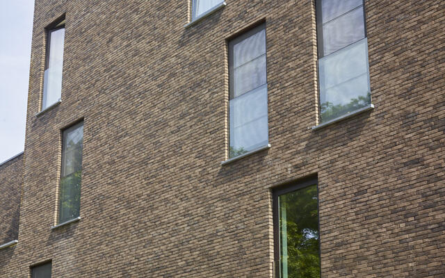 Central Park - Maaltemeers