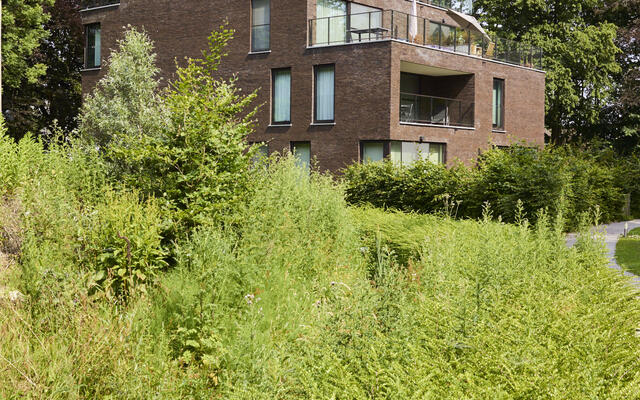 Central Park - Maaltemeers